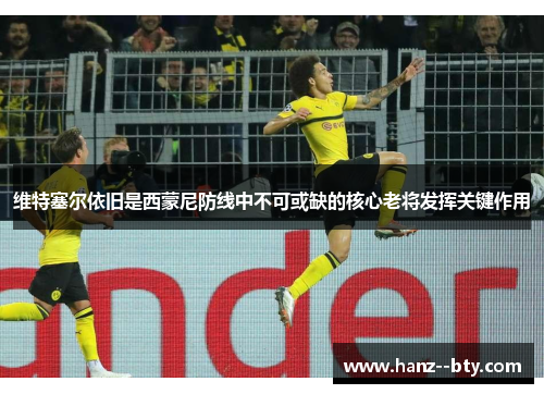 维特塞尔依旧是西蒙尼防线中不可或缺的核心老将发挥关键作用